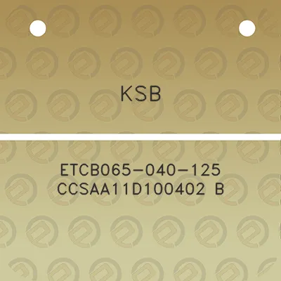 ksb-etcb065-040-125-ccsaa11d100402-b