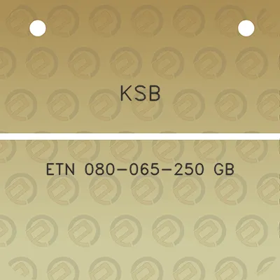 ksb-etn-080-065-250-gb