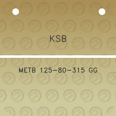 ksb-metb-125-80-315-gg