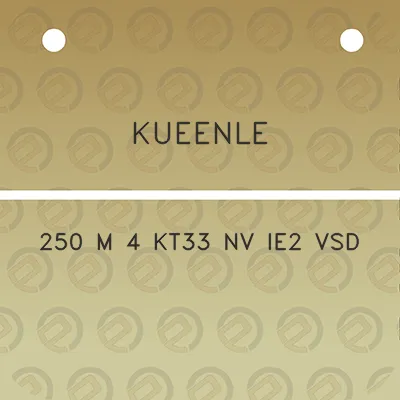 kueenle-250-m-4-kt33-nv-ie2-vsd