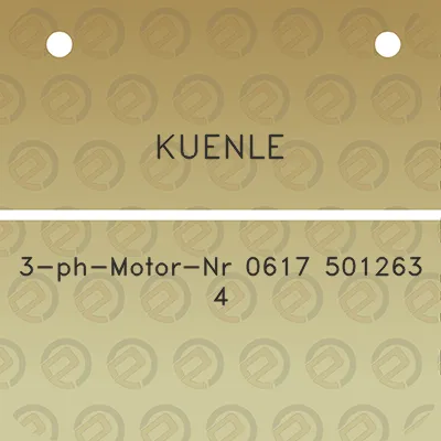 kuenle-3-ph-motor-nr-0617-501263-4