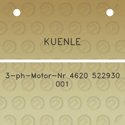 kuenle-3-ph-motor-nr-4620-522930-001