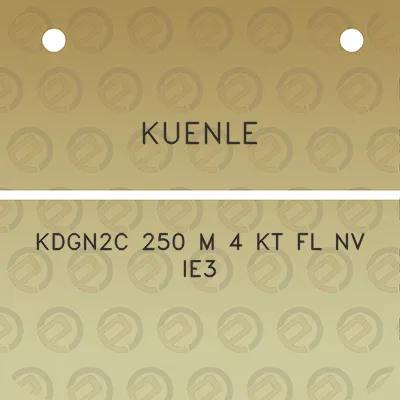 kuenle-kdgn2c-250-m-4-kt-fl-nv-ie3