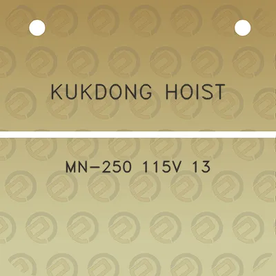 kukdong-hoist-mn-250-115v-13