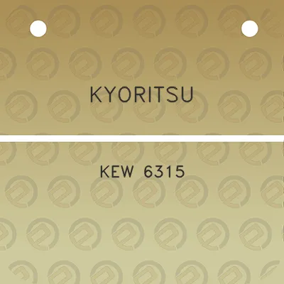 kyoritsu-kew-6315