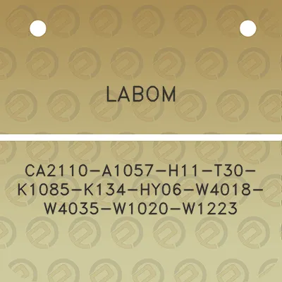 labom-ca2110-a1057-h11-t30-k1085-k134-hy06-w4018-w4035-w1020-w1223