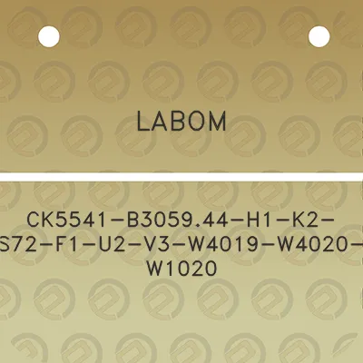 labom-ck5541-b305944-h1-k2-s72-f1-u2-v3-w4019-w4020-w1020