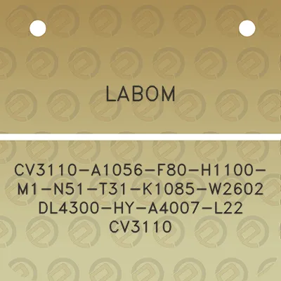 labom-cv3110-a1056-f80-h1100-m1-n51-t31-k1085-w2602-dl4300-hy-a4007-l22-cv3110