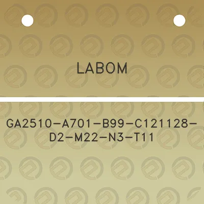 labom-ga2510-a701-b99-c121128-d2-m22-n3-t11