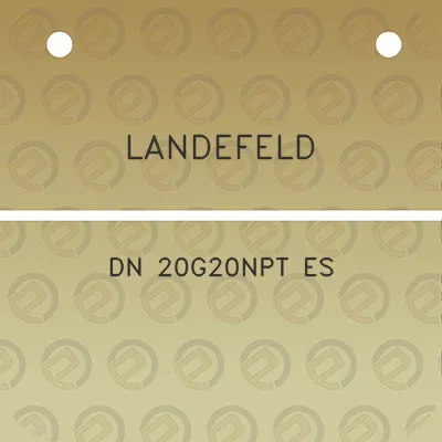 landefeld-dn-20g20npt-es