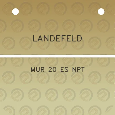 landefeld-mur-20-es-npt