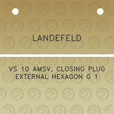 landefeld-vs-10-amsv-closing-plug-external-hexagon-g-1