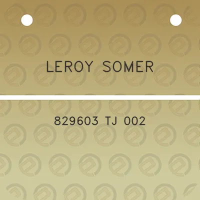 leroy-somer-829603-tj-002