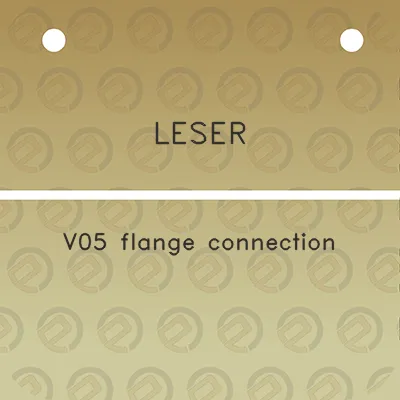 leser-v05-flange-connection