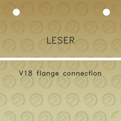 leser-v18-flange-connection