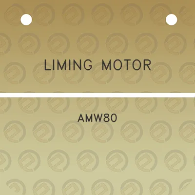 liming-motor-amw80