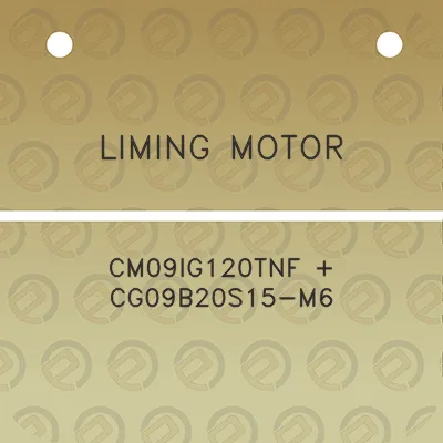 liming-motor-cm09ig120tnf-cg09b20s15-m6