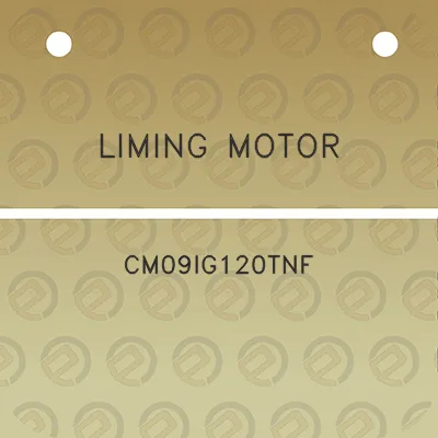 liming-motor-cm09ig120tnf