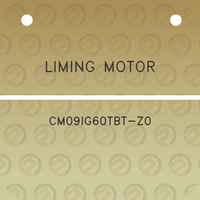 liming-motor-cm09ig60tbt-z0