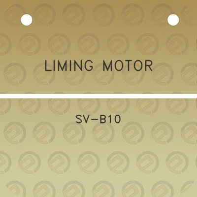 liming-motor-sv-b10