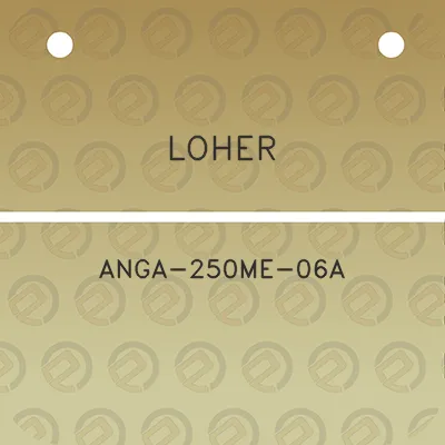 loher-anga-250me-06a