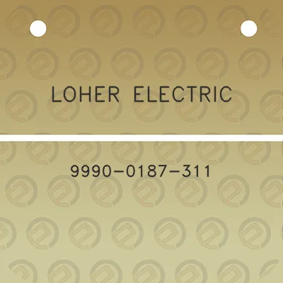 loher-electric-9990-0187-311