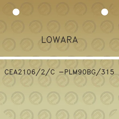 lowara-cea21062c-plm90bg315