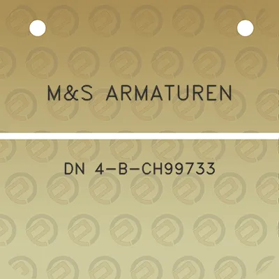 ms-armaturen-dn-4-b-ch99733