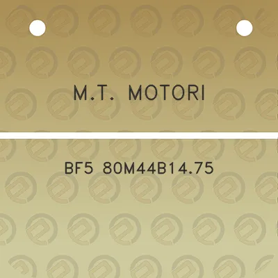 mt-motori-bf5-80m44b1475