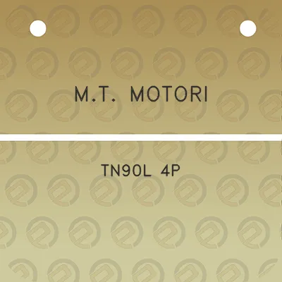 mt-motori-tn90l-4p