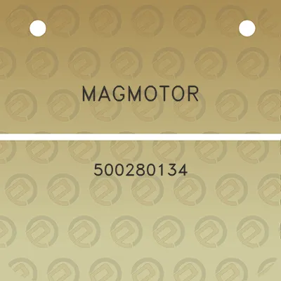 magmotor-500280134