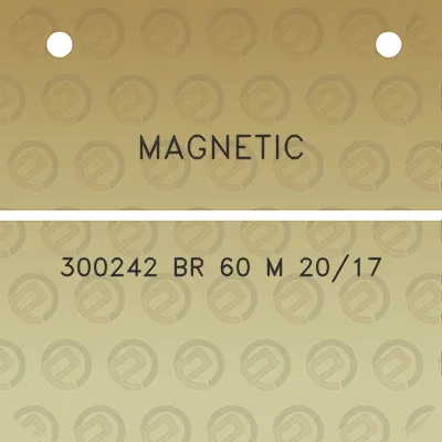 magnetic-300242-br-60-m-2017