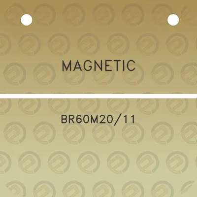 magnetic-br60m2011