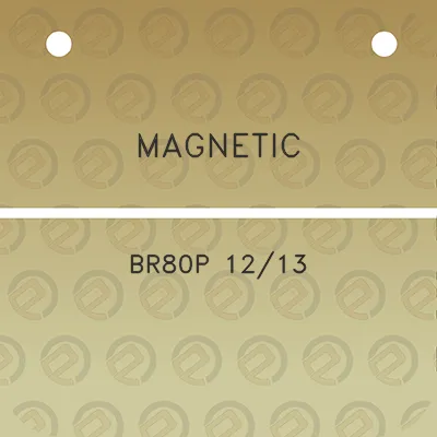 magnetic-br80p-1213