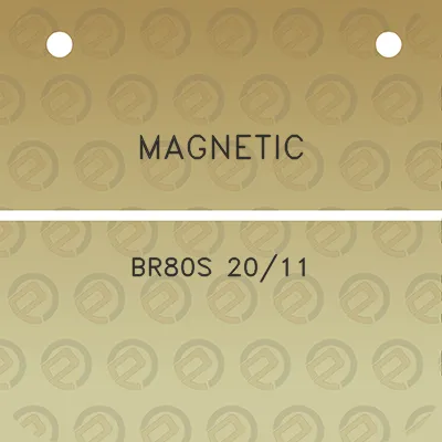 magnetic-br80s-2011