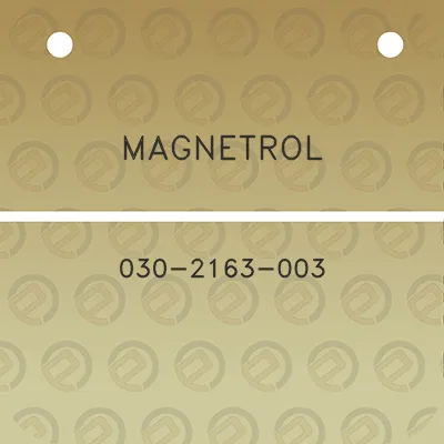 magnetrol-030-2163-003