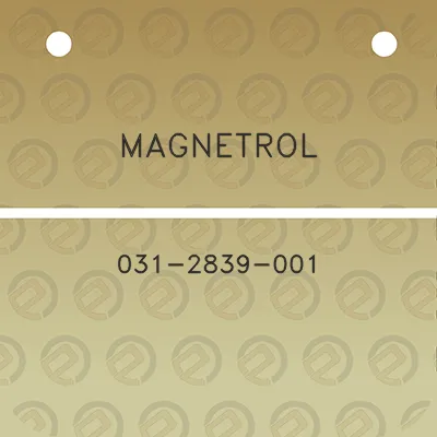 magnetrol-031-2839-001