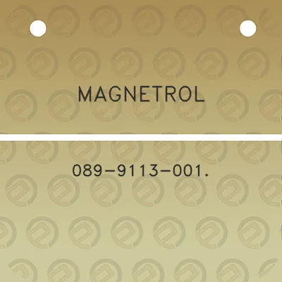 magnetrol-089-9113-001