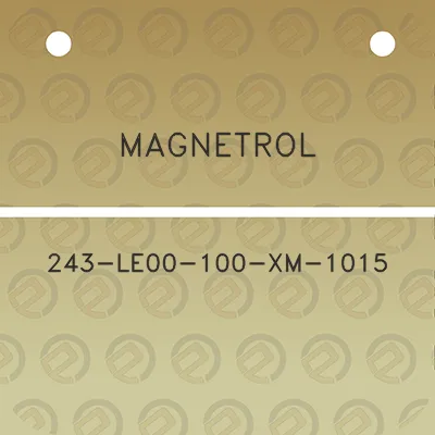 magnetrol-243-le00-100-xm-1015