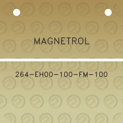 magnetrol-264-eh00-100-fm-100