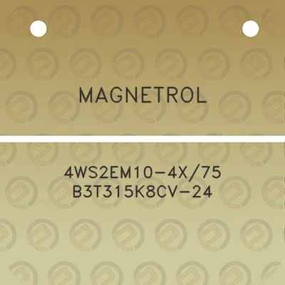 magnetrol-4ws2em10-4x75-b3t315k8cv-24