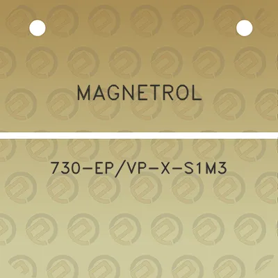 magnetrol-730-epvp-x-s1m3