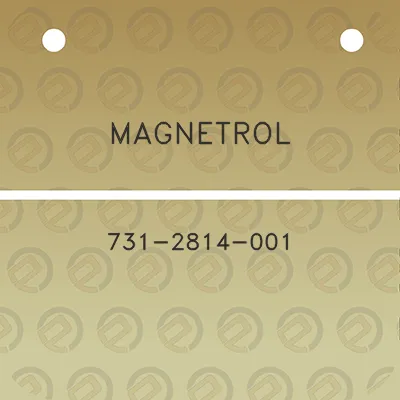 magnetrol-731-2814-001