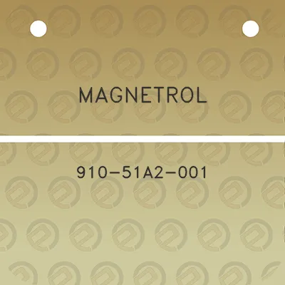 magnetrol-910-51a2-001