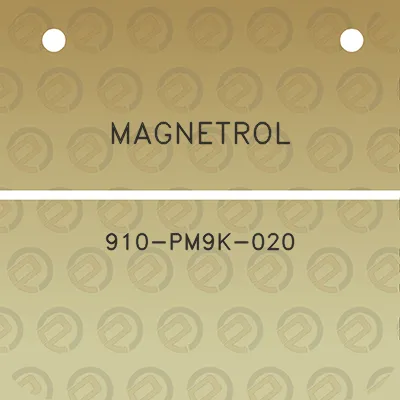 magnetrol-910-pm9k-020