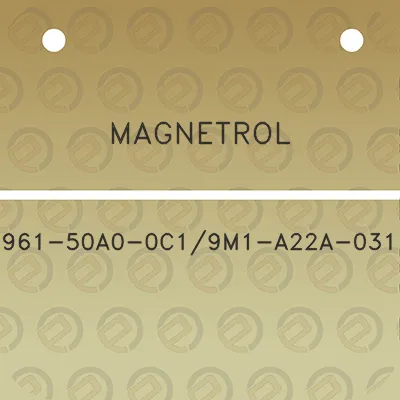 magnetrol-961-50a0-0c19m1-a22a-031