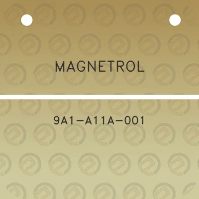 magnetrol-9a1-a11a-001