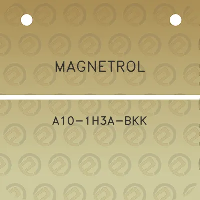 magnetrol-a10-1h3a-bkk