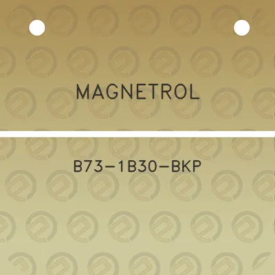 magnetrol-b73-1b30-bkp