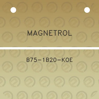 magnetrol-b75-1b20-koe